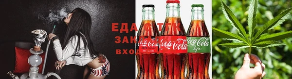 дмт Алзамай