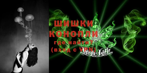 дмт Алзамай