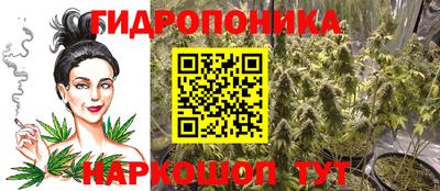 прущие крисы Анжеро-Судженск